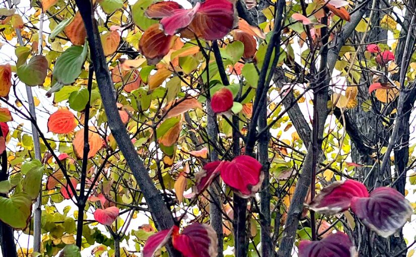 生成AIで変わるものと変わらないもの